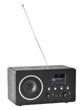 1607 DAB+ FM radio